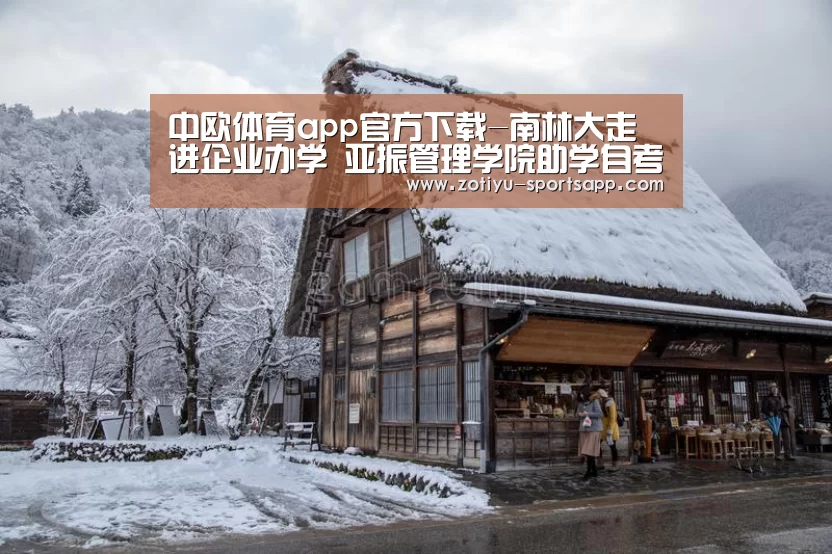 中欧体育官网登录入口