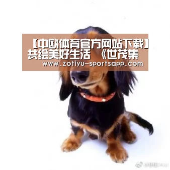中欧体育官方网站下载
