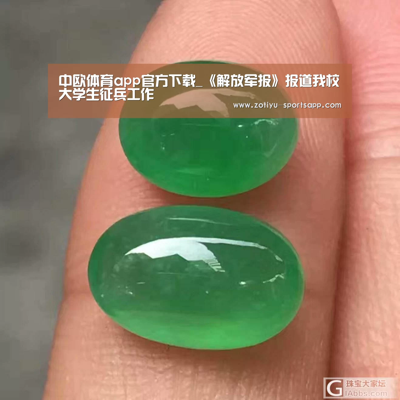 中欧体育官网登录入口