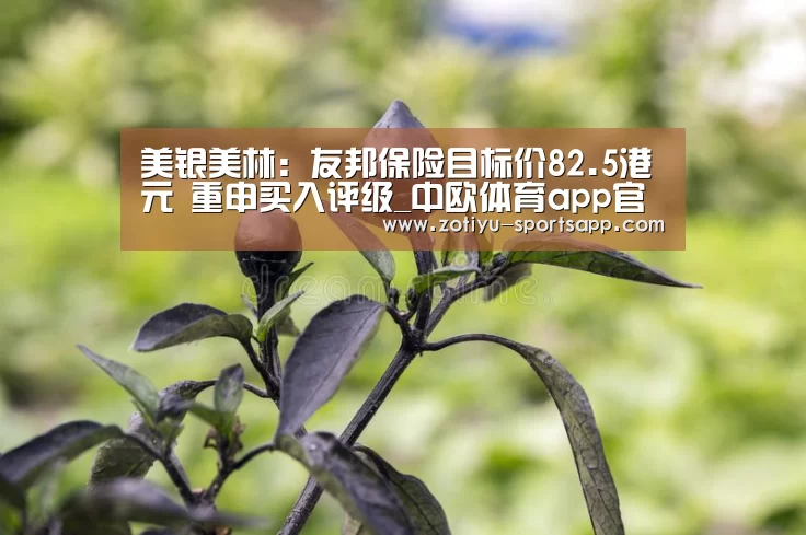 中欧体育官网登录入口