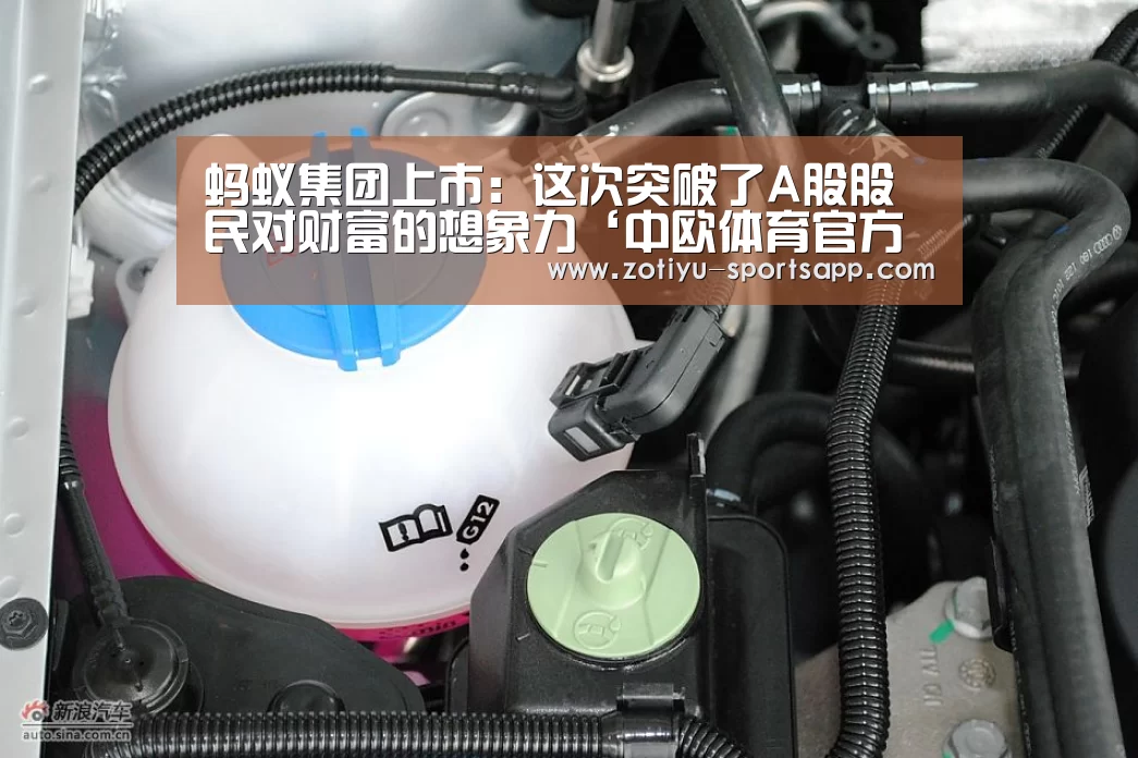 蚂蚁集团上市:这次突破了A股股民对财富的想象力‘中欧体育官方网站下载’(图1) 中欧体育官方网站最新版