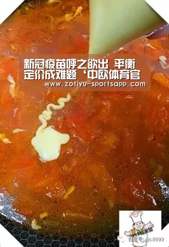 中欧体育官网登录入口
