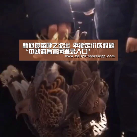 中欧体育app官方下载