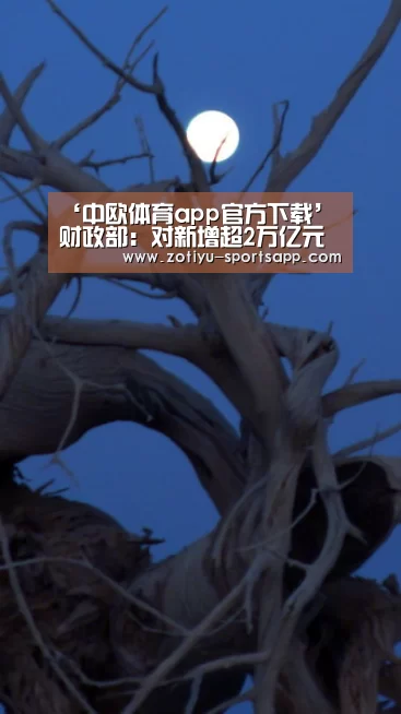中欧体育app官方下载