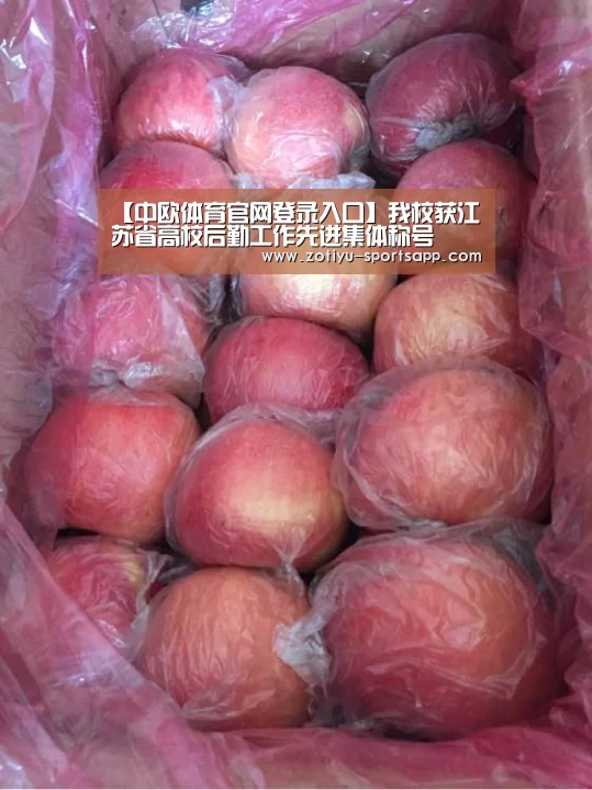 【中欧体育官网登录入口】我校获江苏省高校后勤工作先进集体称号(图1) 中欧体育官方网站下载