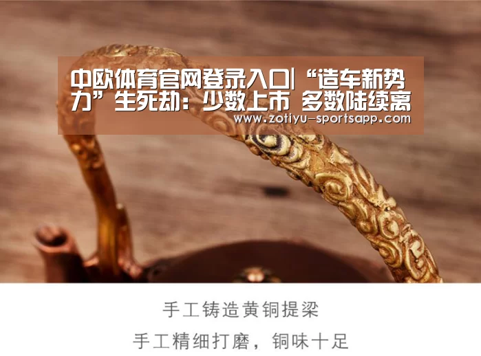中欧体育官网登录入口|“造车新势力”生死劫:少数上市 多数陆续离场(图4) 中欧体育官网登录入口