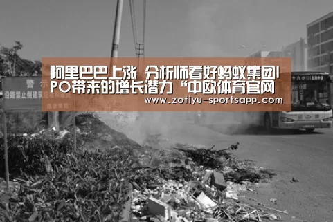 阿里巴巴上涨 分析师看好蚂蚁集团IPO带来的增长潜力“中欧体育官网登录入口”(图1) 中欧体育官方网站最新版