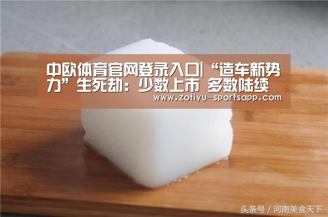 中欧体育官网登录入口|“造车新势力”生死劫:少数上市 多数陆续离场(图1) 中欧体育官方网站下载
