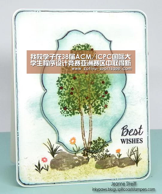 我校学子在38届ACM/ICPC国际大学生程序设计竞赛亚洲赛区中取得新突破“中欧体育官方网站最新版”(图2) 中欧体育官网登录入口