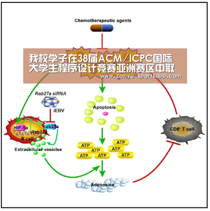 我校学子在38届ACM/ICPC国际大学生程序设计竞赛亚洲赛区中取得新突破“中欧体育官方网站最新版”(图4) 中欧体育官方网站下载