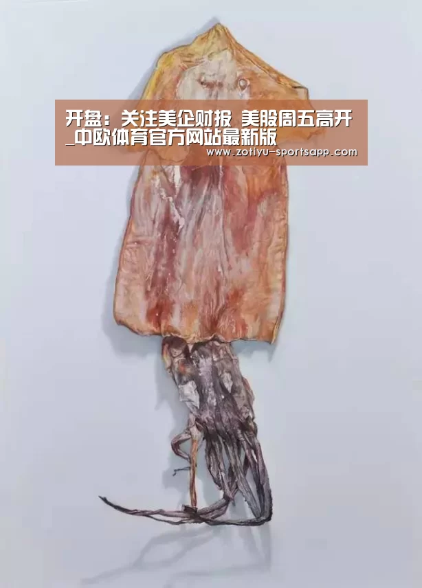 中欧体育官方网站下载