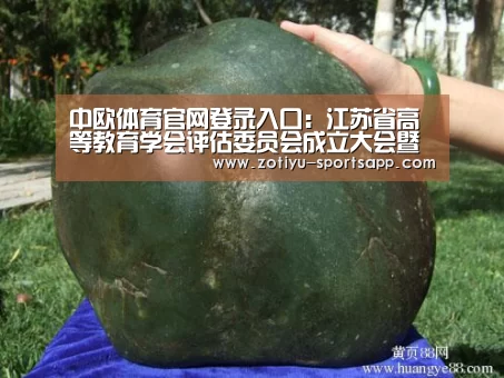 中欧体育app官方下载