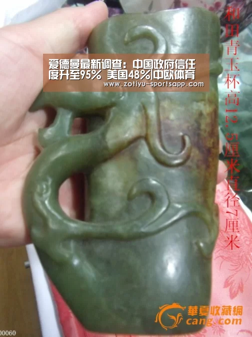 中欧体育官方网站最新版