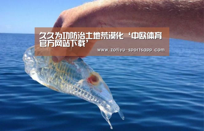 中欧体育官网登录入口