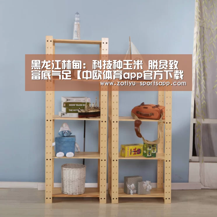 中欧体育app官方下载