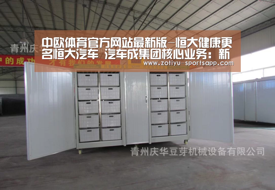 中欧体育官方网站最新版-恒大健康更名恒大汽车 汽车成集团核心业务:新能源车企尚未盈利(图4) 中欧体育app官方下载