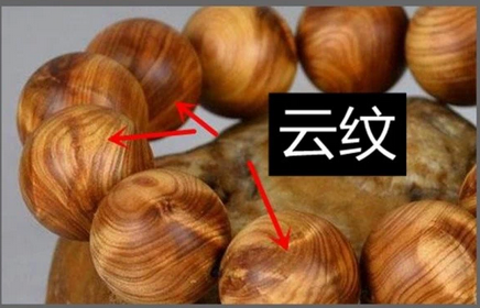 中欧体育官方网站最新版
