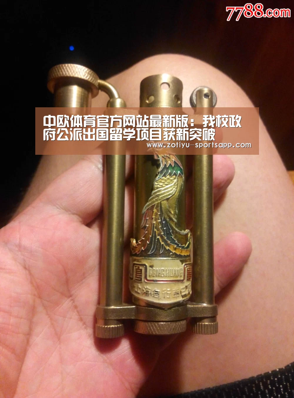 中欧体育官方网站最新版